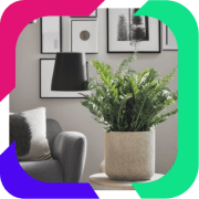 FinalTouch favicon