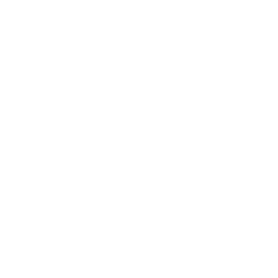 Sturppy favicon