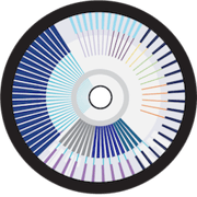 OLY.AI favicon