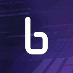 Binarly favicon