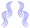 BraidTry favicon