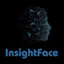 InsightFace favicon