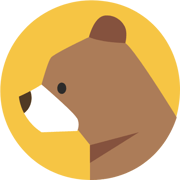 Brainybear favicon