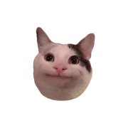 Notescast favicon