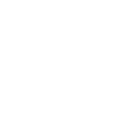 Dayzero AI favicon