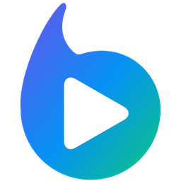 Braiv favicon