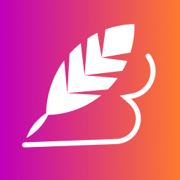 Briefly favicon