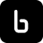 Binarly favicon