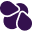 BeetleShield favicon