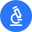 Delve AI favicon