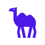 CAMEL-AI favicon