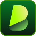 BlipCut Video Translator favicon