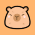 Capybara Affirmations favicon