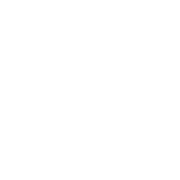 Sturppy favicon