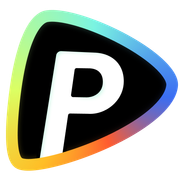 Pollo AI favicon