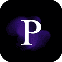 Privee AI favicon