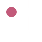 Toqan favicon