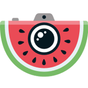 GPT Food Cam favicon