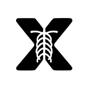 X-ray Interpreter favicon