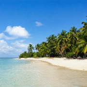 This Beach Does Not Exist favicon