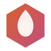 BlazeHive favicon