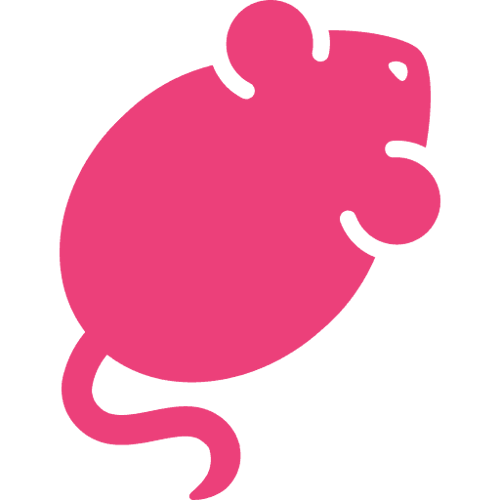 Tolgee favicon