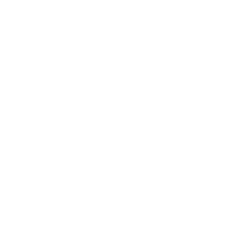 Dayzero AI favicon
