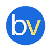 BrandVox favicon