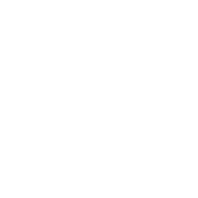 Danti favicon