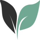 Undetectable AI Humanizer favicon