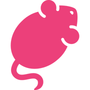 Tolgee favicon