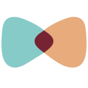 Syte favicon