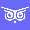 Brandwise favicon