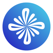 Saleswise favicon