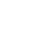 Salient favicon