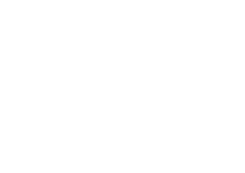 pre.dev favicon