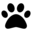 Pet Booth favicon