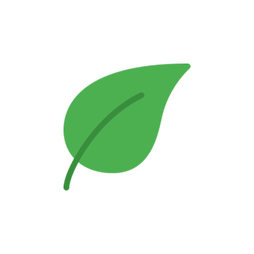 AnkiDecks favicon