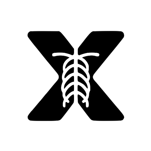 X-ray Interpreter favicon