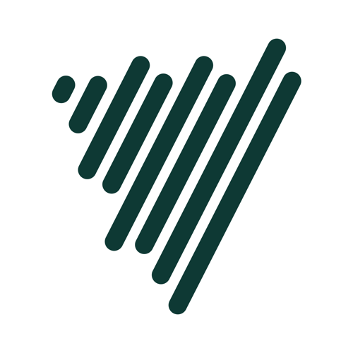 Voicenotes favicon