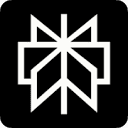 Perplexity favicon