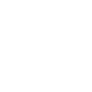 Sandra AI favicon