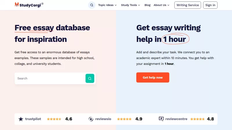 StudyCorgi screenshot