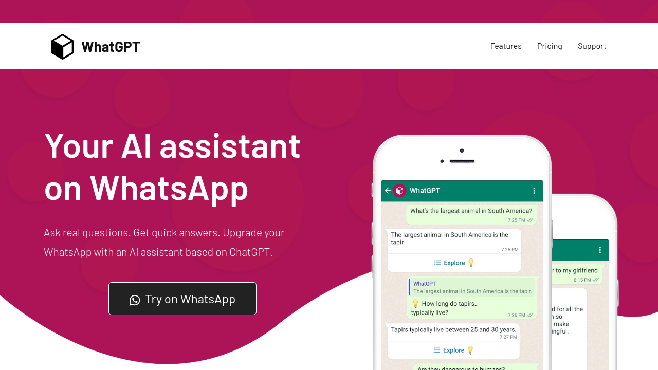 whatgpt website
