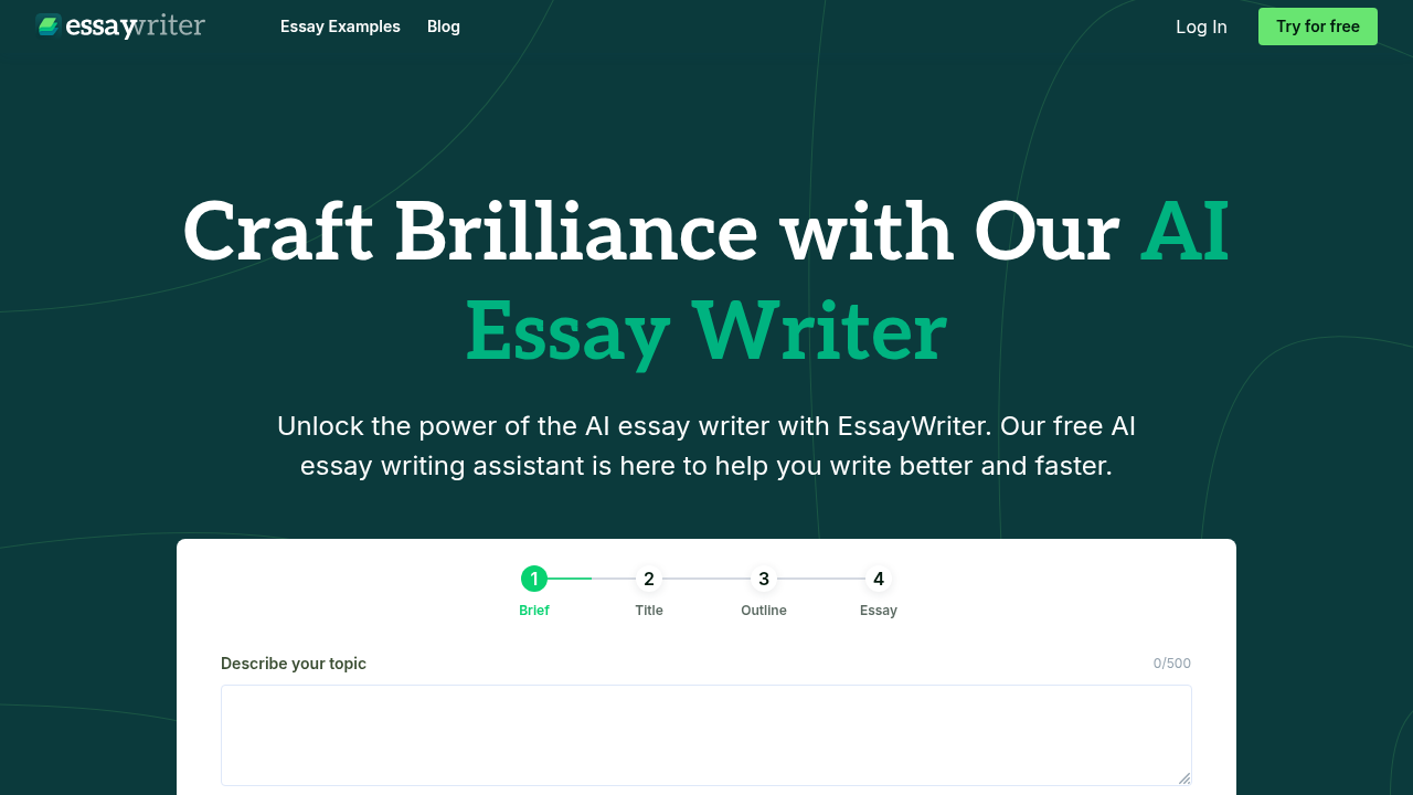 essaywriter website