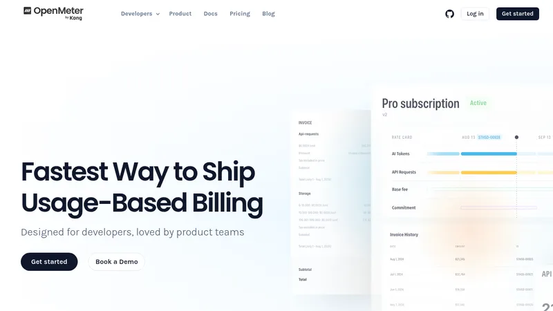 openmeter website