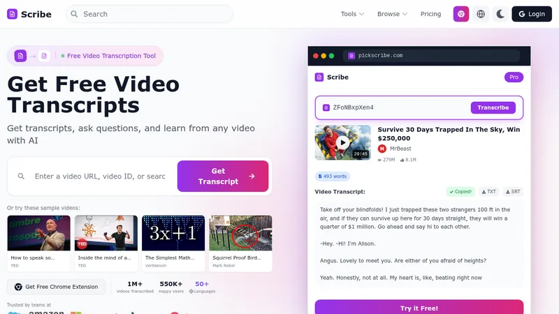 scribe website
