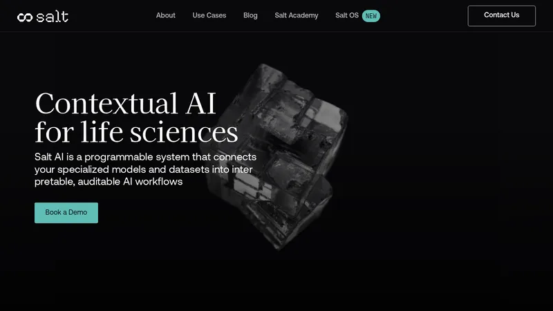 salt ai website