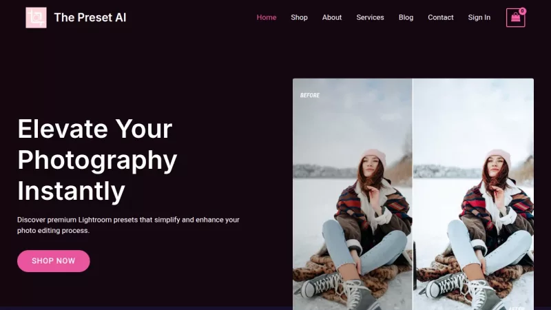 The Preset AI screenshot