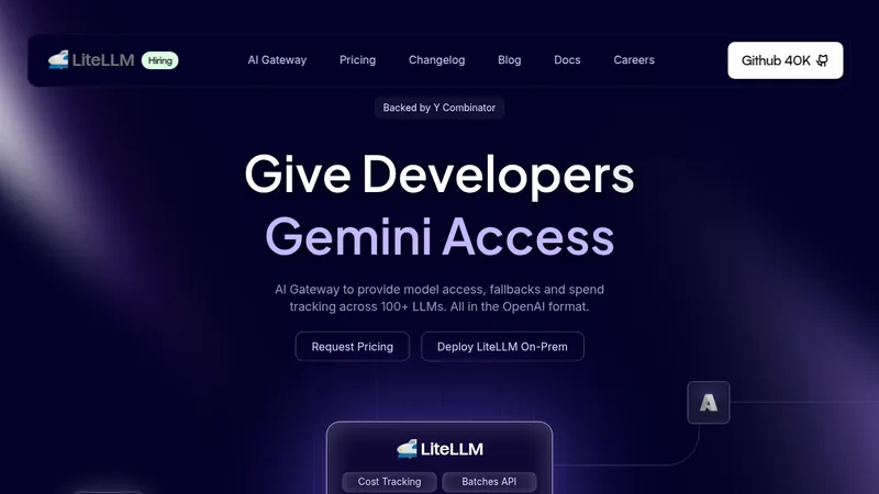 litellm website